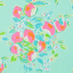 Meet your Posher, Allie